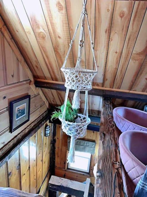 1 B1B Lake Cabin/Walk To Lake/Boulder Bay Park Lac Big Bear Extérieur photo