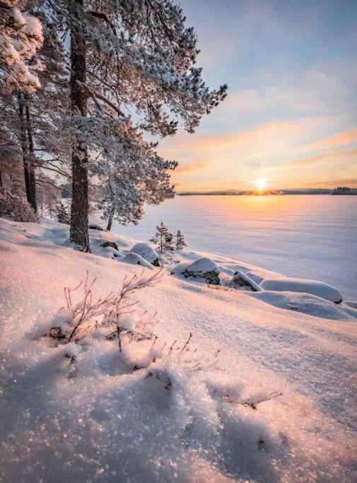 1 B1B Lake Cabin/Walk To Lake/Boulder Bay Park Lac Big Bear Extérieur photo