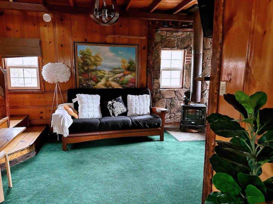 1 B1B Lake Cabin/Walk To Lake/Boulder Bay Park Lac Big Bear Extérieur photo
